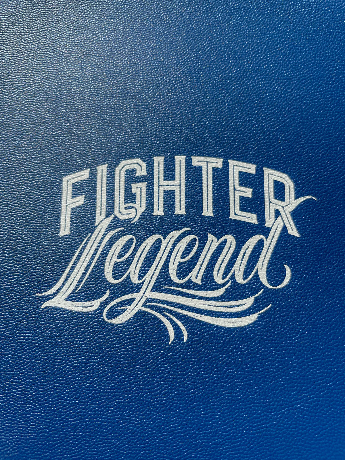 Espinilleras Rígidas Azul Figther Legends - GD